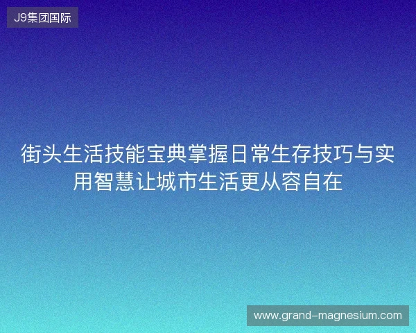 街头生活技能宝典掌握日常生存技巧与实用智慧让城市生活更从容自在 街头生活技能宝典掌握日常生存技巧与实用智慧让城市生活更从容自在